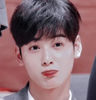 🦧 whatsapp sticker