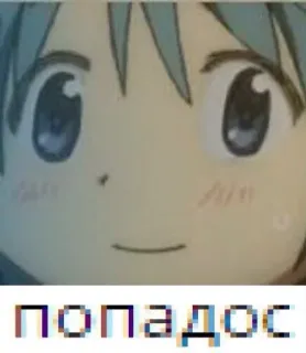🙂 попадос telegram sticker