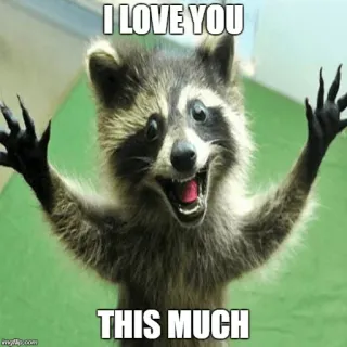 ❤ I LOVE YOU
THIS MUCH mapache, amor, animales, lindo, meme, cariño whatsapp sticker
