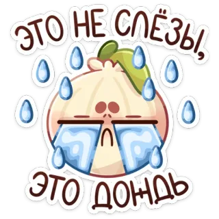 🧅 ЭТО НЕ СЛЁЗЫ!
ЭТО ДОНЬДЬ oignon, pleurer, larmes, autocollant, triste, émotionnel, nourriture whatsapp sticker