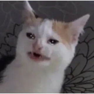 meme faces whatsapp stickers