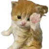👋