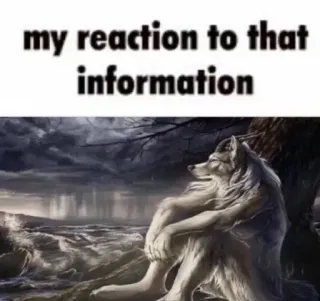 😊 my reaction to that information Loup, Meme, Réaction, Information, Triste, Animal telegram sticker