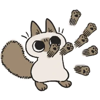 👊 chat, sticker, animal, dessin animé, ludique, mignon whatsapp sticker
