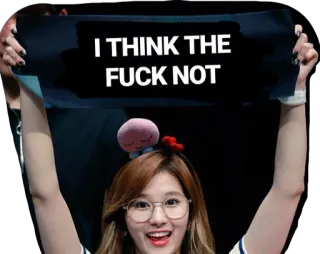 🖕 I THINK THE FUCK NOT Meme, Ofensif, Humor, Teks, Sarkastik telegram sticker
