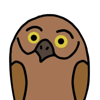 🦉 búho, pájaro, lindo, animal, dibujo animado telegram sticker