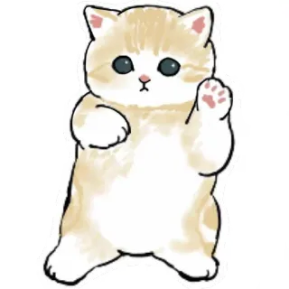🕺 gato, gatito, animal, lindo, mascota, minino whatsapp sticker