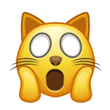 🙀