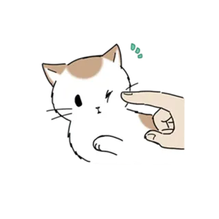 😼 gatto, gattino, carino, animale domestico, animale, dito telegram sticker