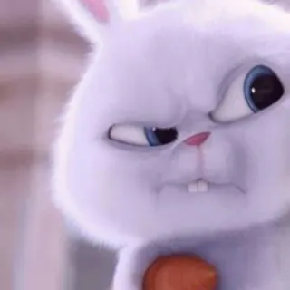 🐾 Snowball The Secret Life of Pets coniglio, carino, palla di neve, Pets - Vita da animali, animale, cartone animato whatsapp sticker