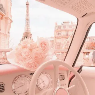 ✨ Paris, Eiffelturm, Auto, Rosen, Ästhetisch, Rosa, Vintage, Reisen telegram sticker