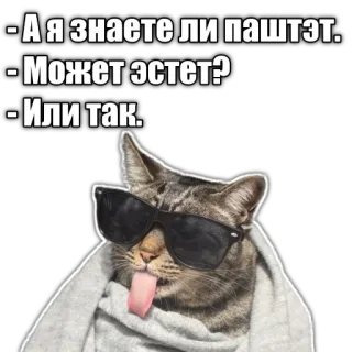 😎 - А я знаете ли паштэт.
- Может эстет?
- Или так. cat, sunglasses, tongue, meme, funny telegram sticker