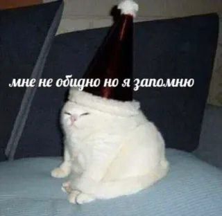 💬 мне не обидно но я запомню кот, мем, русский, смешной, животное, питомец, рождество telegram sticker