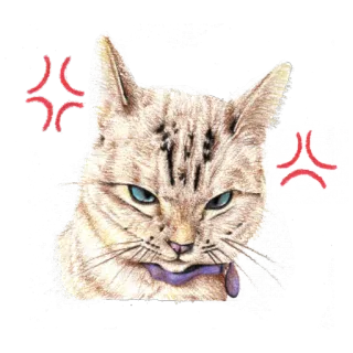 😾 고양이, 화난, 애완 동물, 동물, 고양이, 만화, 일러스트 telegram sticker