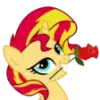 🌹