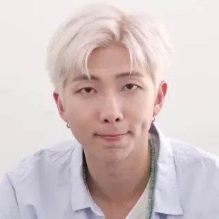 🐟 RM kpop, rm, bts, cantante, celebrità telegram sticker