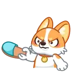 😠 cane, arrabbiato, cartone animato, carino, corgi, dito medio telegram sticker