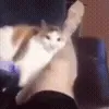 😡