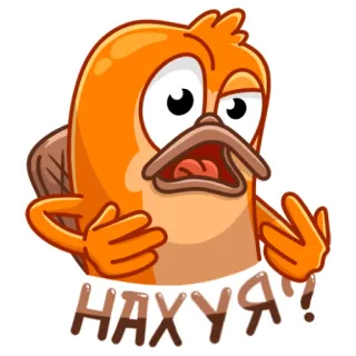 🤨 НАХУЯ?! Kartun, Platipus, Ofensif telegram sticker