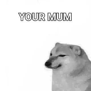 🙂 YOUR MUM Meme, Doge, Lelucon ibumu, Humor, Lucu, Meme internet whatsapp sticker