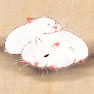 🐹 hamsters, animals, cute, rodents, pets, white hamsters telegram sticker