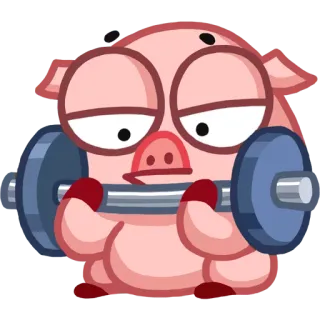 💪 babi, angkat besi, olahraga, kartun, imut, hewan telegram sticker