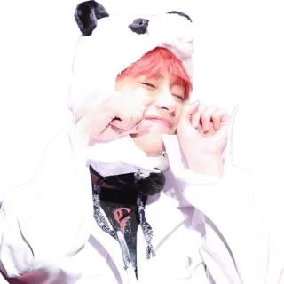 😭 Panda, Carino, Animale, Kpop, Persona, Felpa con cappuccio telegram sticker