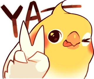 😉 YAY 鳥, オカメインコ, かわいい, 動物, やったー, ピースサイン, 可愛い telegram sticker
