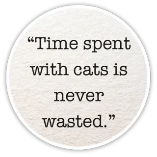 😻 Time spent with cats is never wasted. cat, cats, time, pet, animal telegram sticker