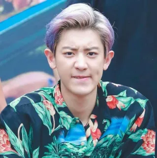 🤨 Chanyeol kpop, cantante, celebridad, chanyeol, exo, coreano telegram sticker