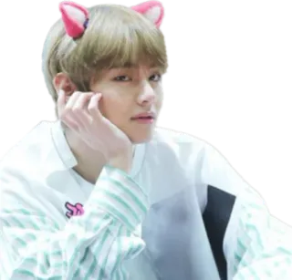 😺 telegram sticker