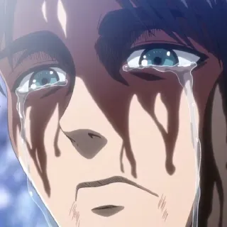 🗡 Attack on Titan anime, triste, chorando, rosto, personagem whatsapp sticker
