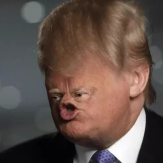🤥 Donald Trump Donald Trump, polityka, karykatura, śmieszne, mem telegram sticker