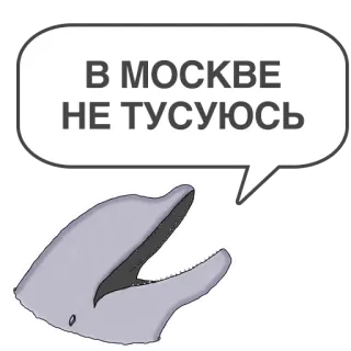 🇷🇺 В МОСКВЕ НЕ ТУСУЮСЬ delfín, bocadillo, Moscú, Rusia, ruso whatsapp sticker