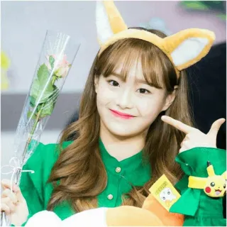 🍃 kpop, 한국, 여자, 가수, 아이돌, 귀여운 telegram sticker