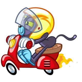 🛵 mèo, xe tay ga, mũ bảo hiểm, phương tiện, hoạt hình telegram sticker
