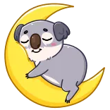 😴