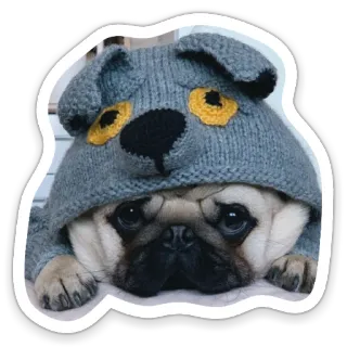 sad_pug_leonid telegram stickers