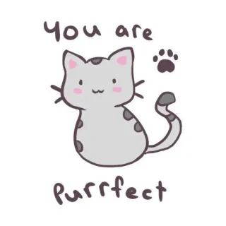 😻 You are Purrrfect Katze, süß, Kätzchen, Tier, Haustier, perfekt, du bist whatsapp sticker