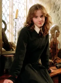 🦋 Hermione Granger Harry Potter hermiona, granger, harry potter, magia, czarodziej whatsapp sticker