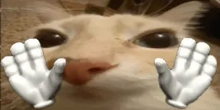 ✋ Katze, Hände, Tier, Meme, lustig, süß telegram sticker