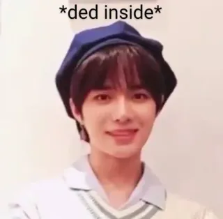 🪄 *ded inside* meme, humor, expression, emotional, person, inside whatsapp sticker