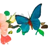 🦋