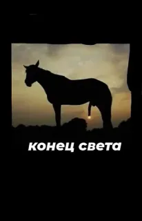 😔 конец света 馬, シルエット, 夕焼け, 世界の終わり, 動物, 自然, ロシア whatsapp sticker