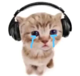 😭 crying cat telegram sticker
