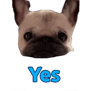 👍 Yes dog, yes, affirmative, approval, pet telegram sticker