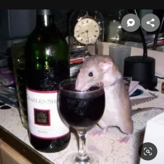 🍷 Merlot chuột, rượu vang, merlot, rượu, động vật, đồ uống, ly telegram sticker