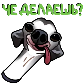 🌚 ЧЕ ДЕЛАЕШЬ? cane, divertente, animale, cartone animato, adesivo telegram sticker