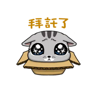 🙏 kat, kitten, doos, schattig, dier, huisdier telegram sticker