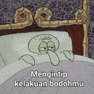 🌟 Squidward Tentacles Spongebob Squarepants Mengintip kelakuan bodohmu carlo, bob l'éponge, drôle, lit, mème, dessin animé whatsapp sticker